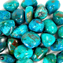 Load image into Gallery viewer, Chrysocolla Tumbled Stones
