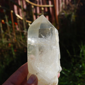 Golden Healer Lemurian Seed Quartz Crystal with Inner Child Manifestation and Lithium 388 gram 5.25" 