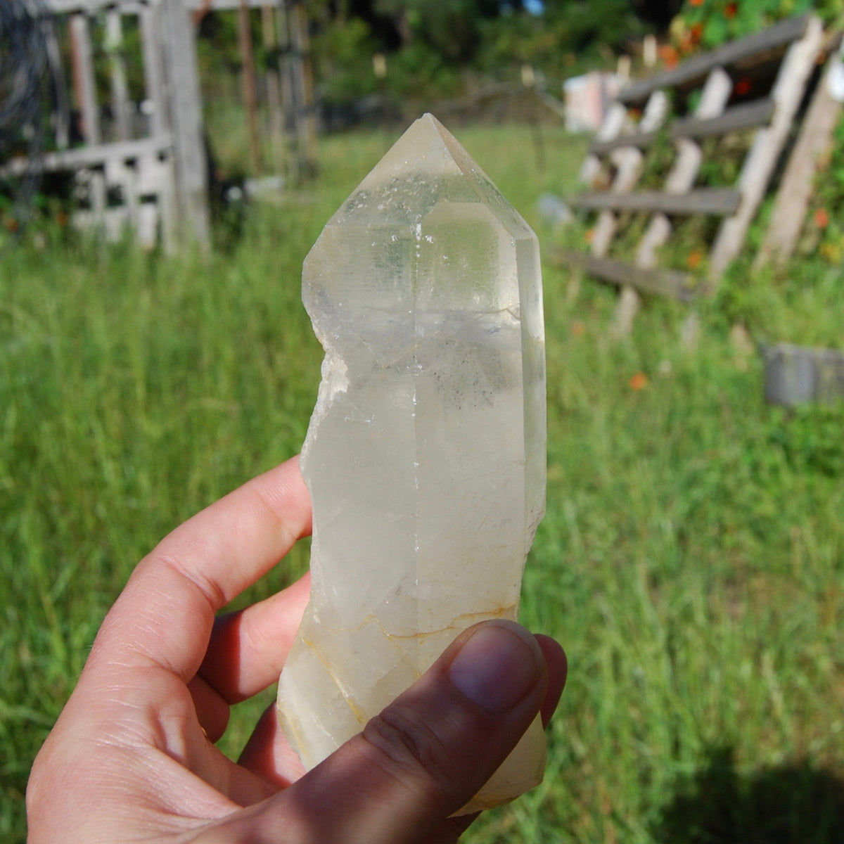 Golden Healer Lemurian Seed Quartz Crystal with Inner Child Manifestation and Lithium 388 gram 5.25" 