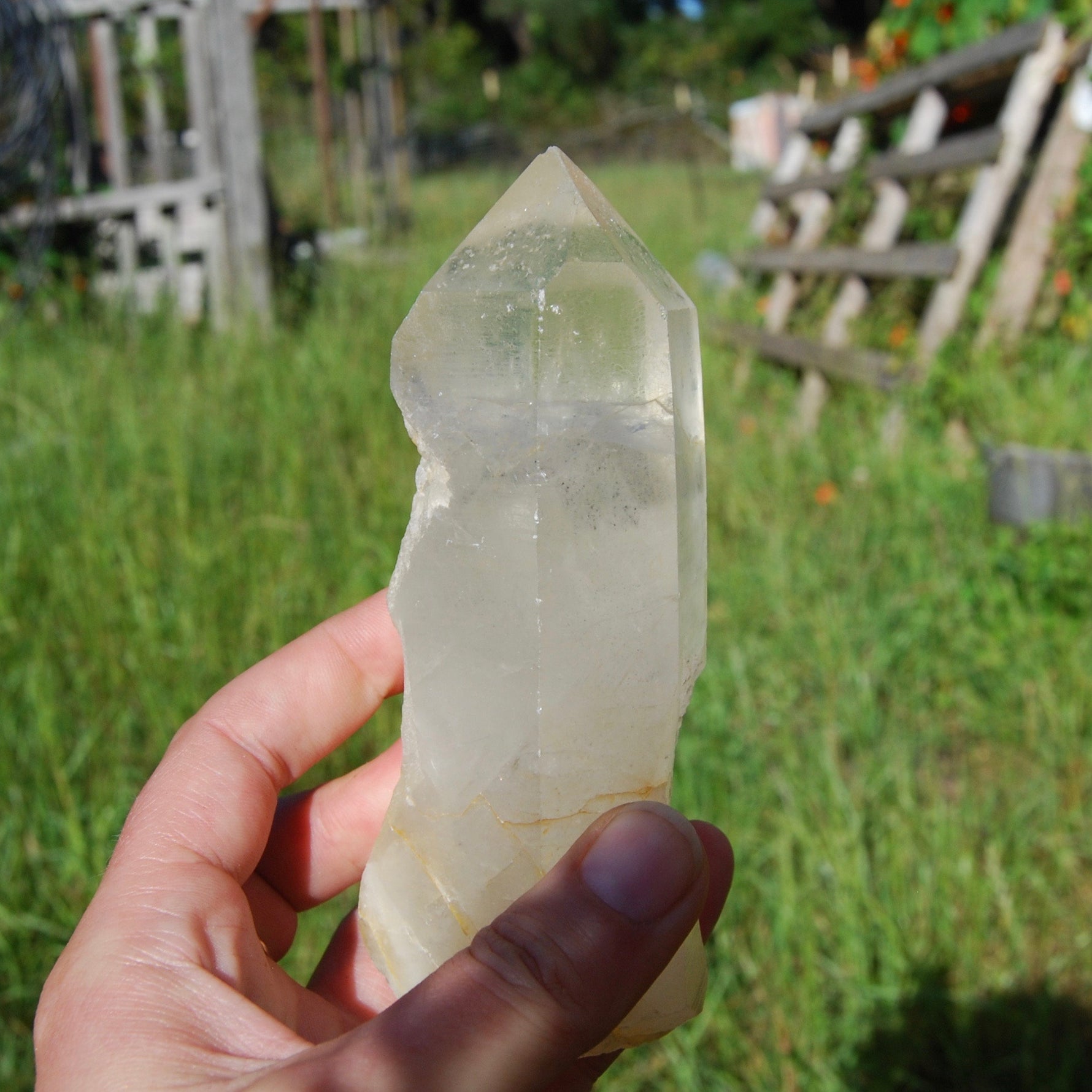 Golden Healer Lemurian Seed Quartz Crystal with Inner Child Manifestation and Lithium 388 gram 5.25" 