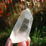 173g 3.75" Lemurian Golden Healer Quartz Crystal Starbrary from Minas Gerais Brazil 
