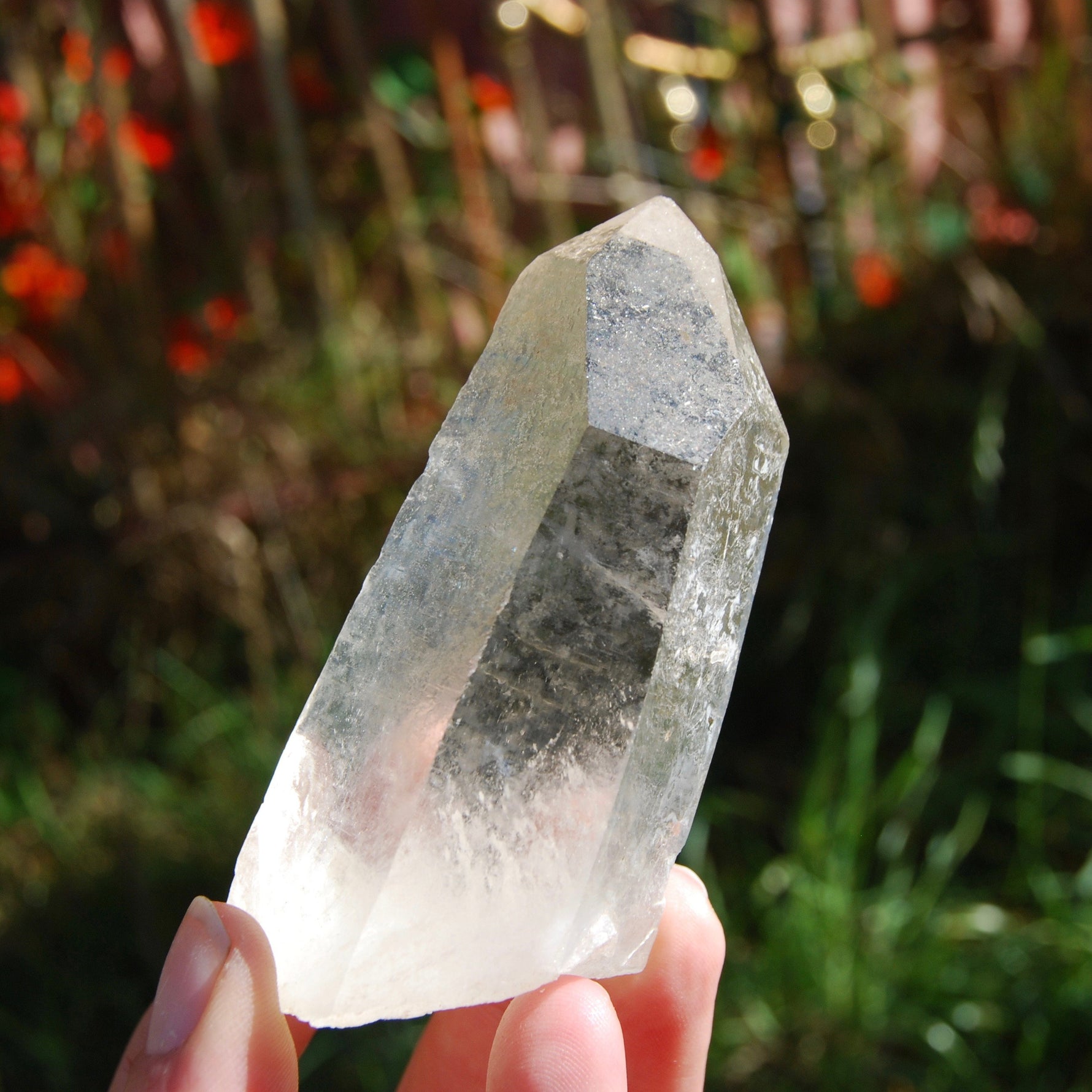 173g 3.75" Lemurian Golden Healer Quartz Crystal Starbrary from Minas Gerais Brazil 