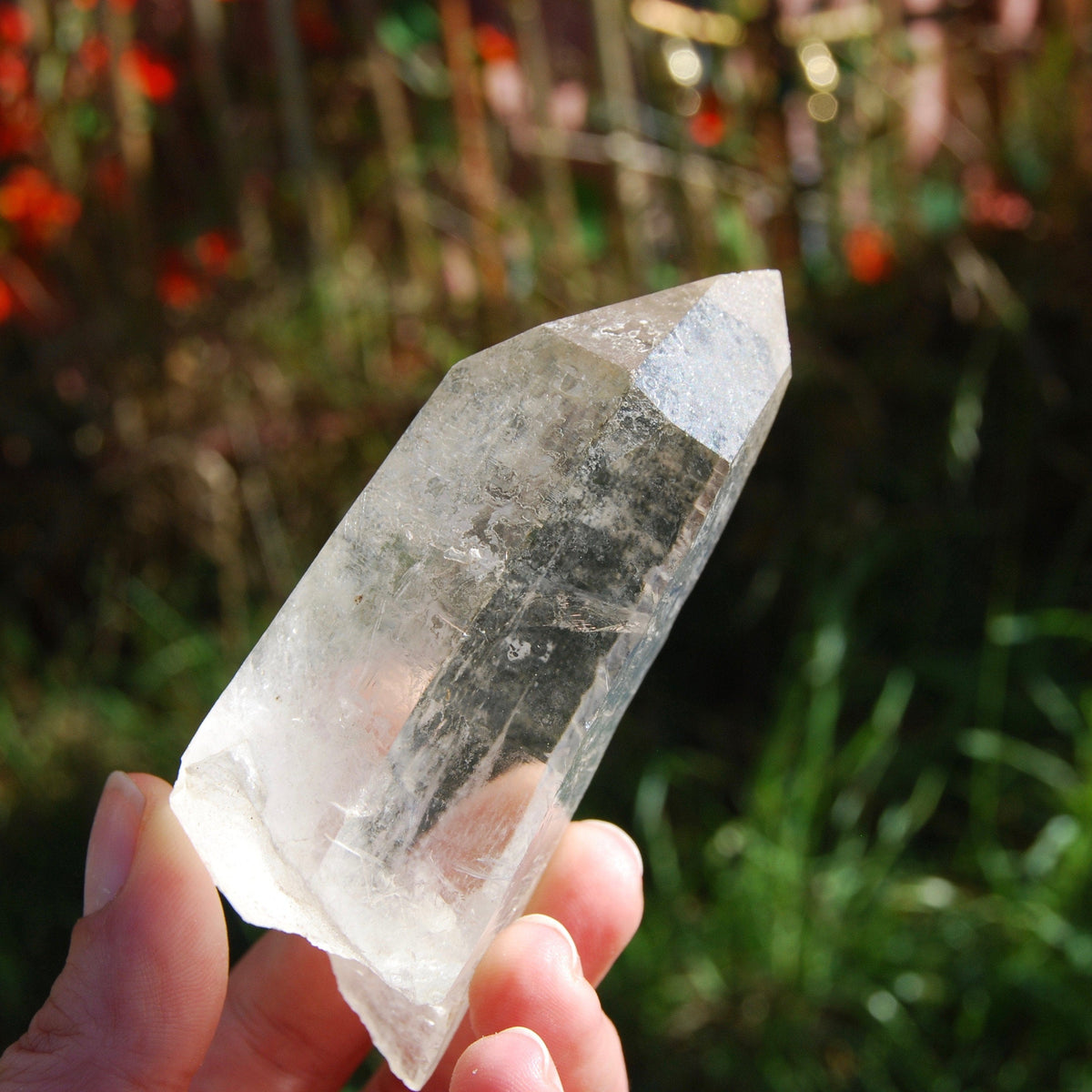 173g 3.75" Lemurian Golden Healer Quartz Crystal Starbrary from Minas Gerais Brazil 