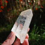 173g 3.75" Lemurian Golden Healer Quartz Crystal Starbrary from Minas Gerais Brazil 