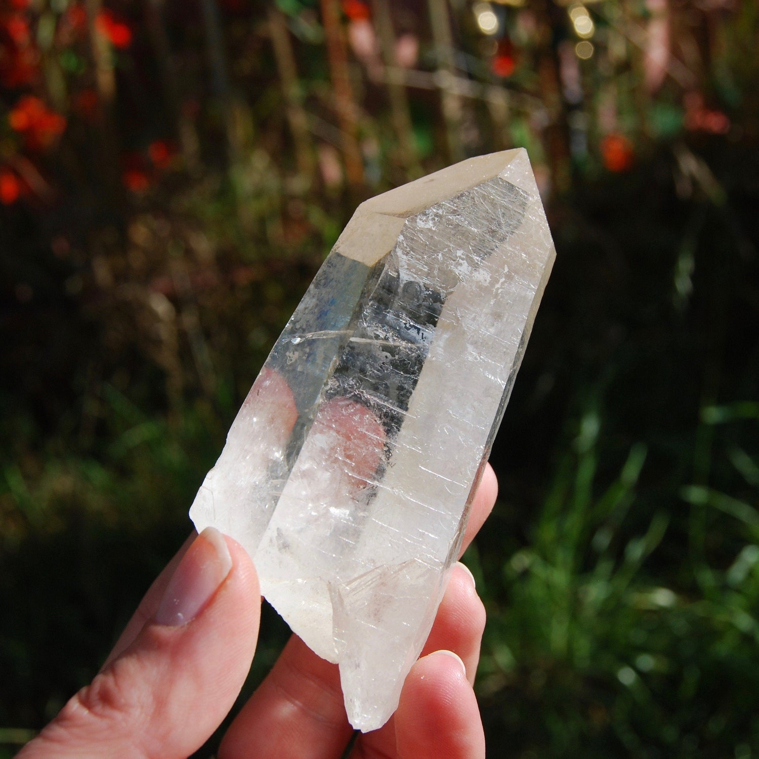 173g 3.75" Lemurian Golden Healer Quartz Crystal Starbrary from Minas Gerais Brazil 