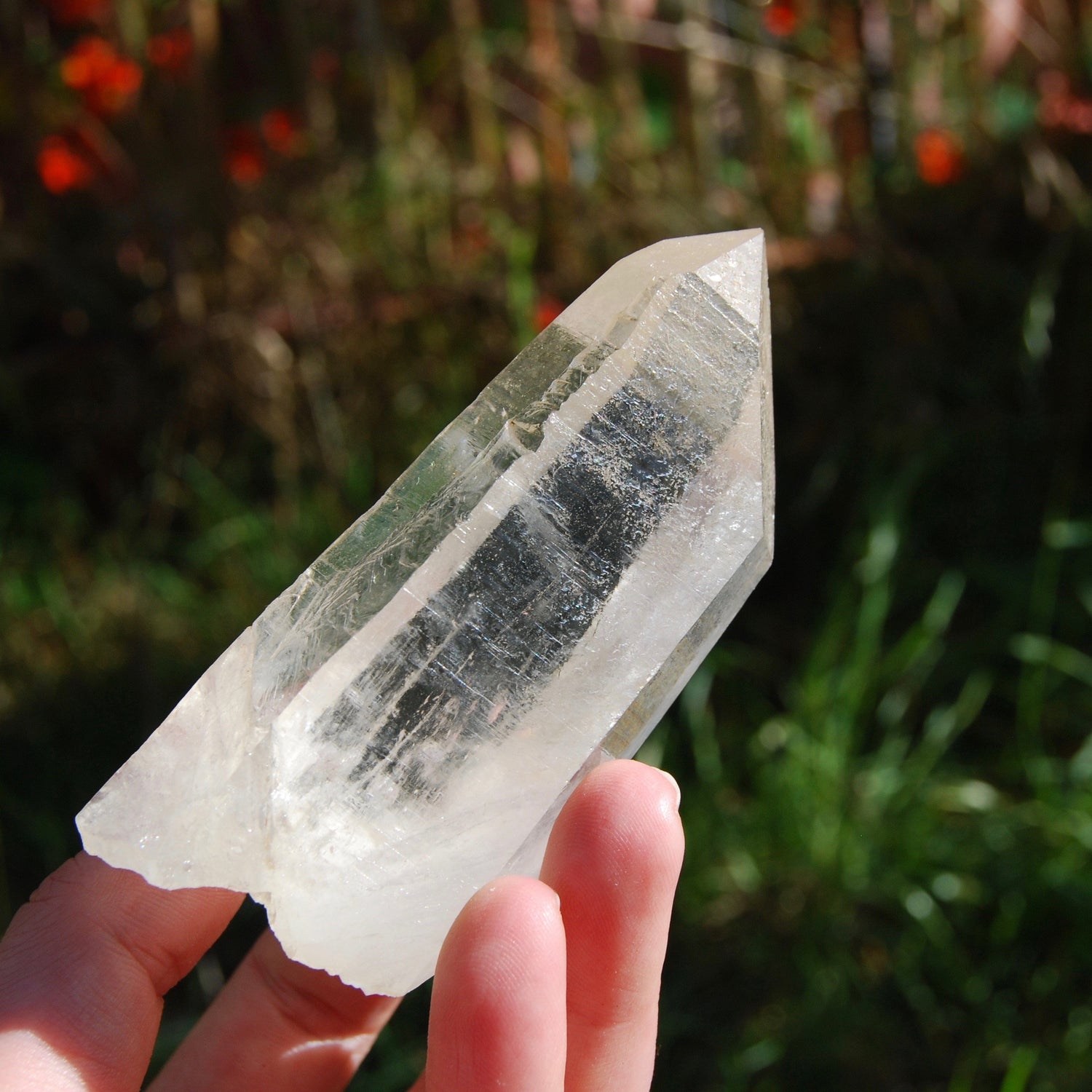 173g 3.75" Lemurian Golden Healer Quartz Crystal Starbrary from Minas Gerais Brazil 