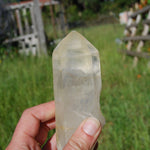 Golden Healer Lemurian Seed Quartz Crystal with Inner Child Manifestation and Lithium 388 gram 5.25" 
