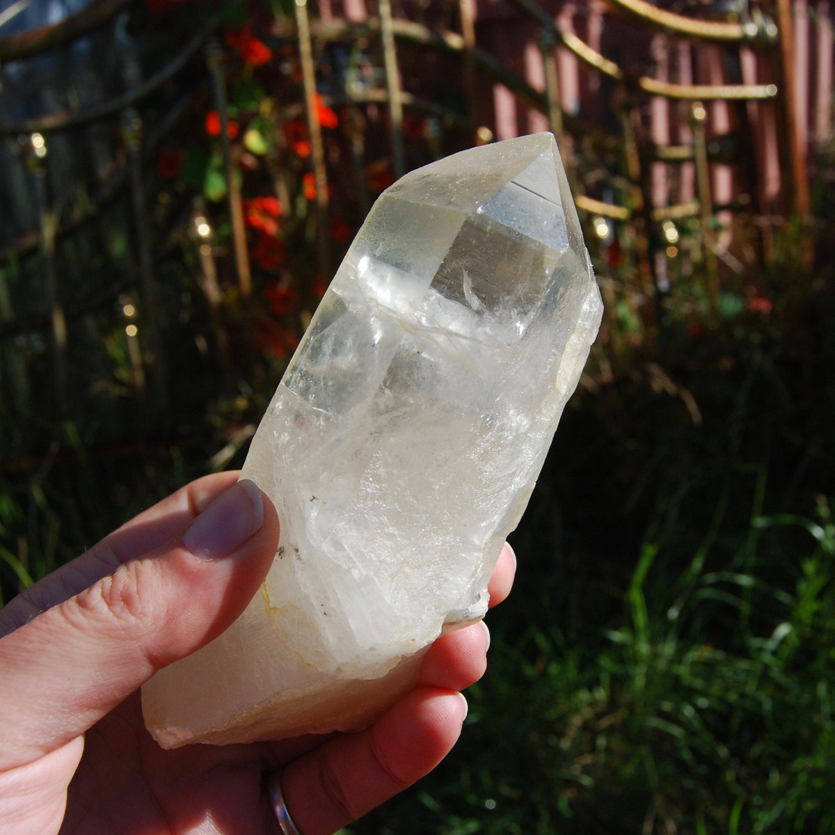 Golden Healer Lemurian Seed Quartz Crystal with Inner Child Manifestation and Lithium 388 gram 5.25" 