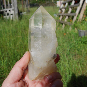 Golden Healer Lemurian Seed Quartz Crystal with Inner Child Manifestation and Lithium 388 gram 5.25" 