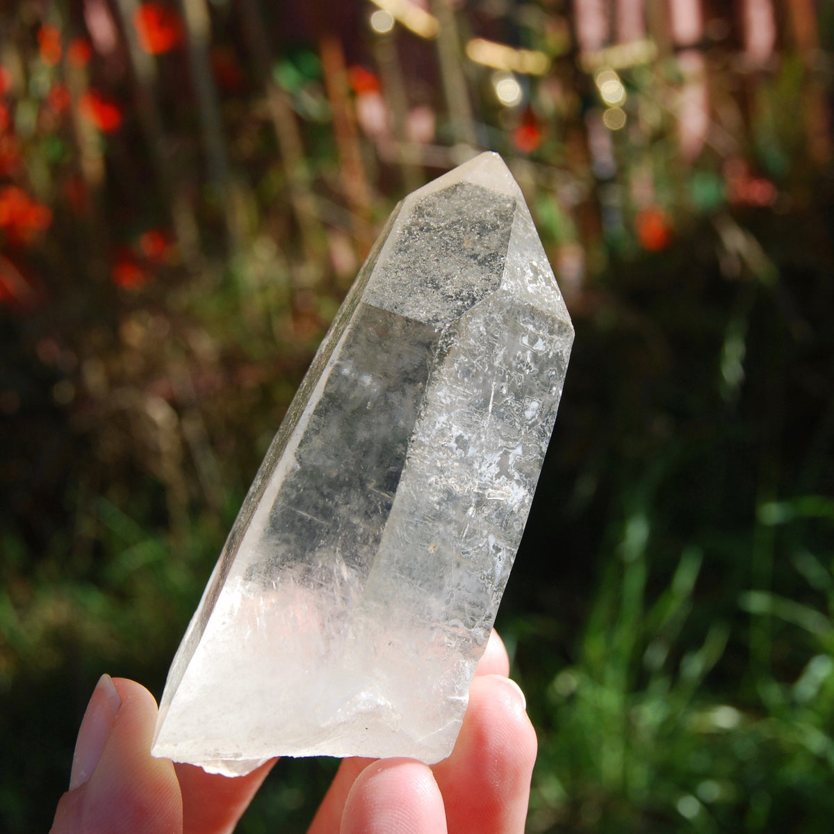 173g 3.75" Lemurian Golden Healer Quartz Crystal Starbrary from Minas Gerais Brazil 