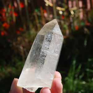 173g 3.75" Lemurian Golden Healer Quartz Crystal Starbrary from Minas Gerais Brazil 