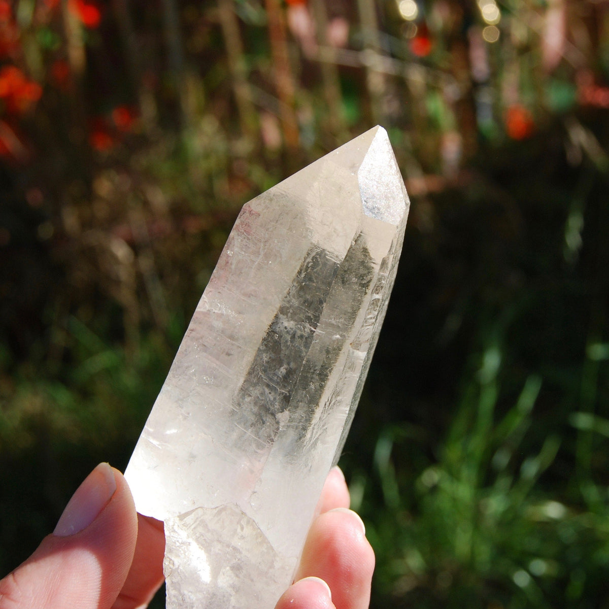 173g 3.75" Lemurian Golden Healer Quartz Crystal Starbrary from Minas Gerais Brazil 