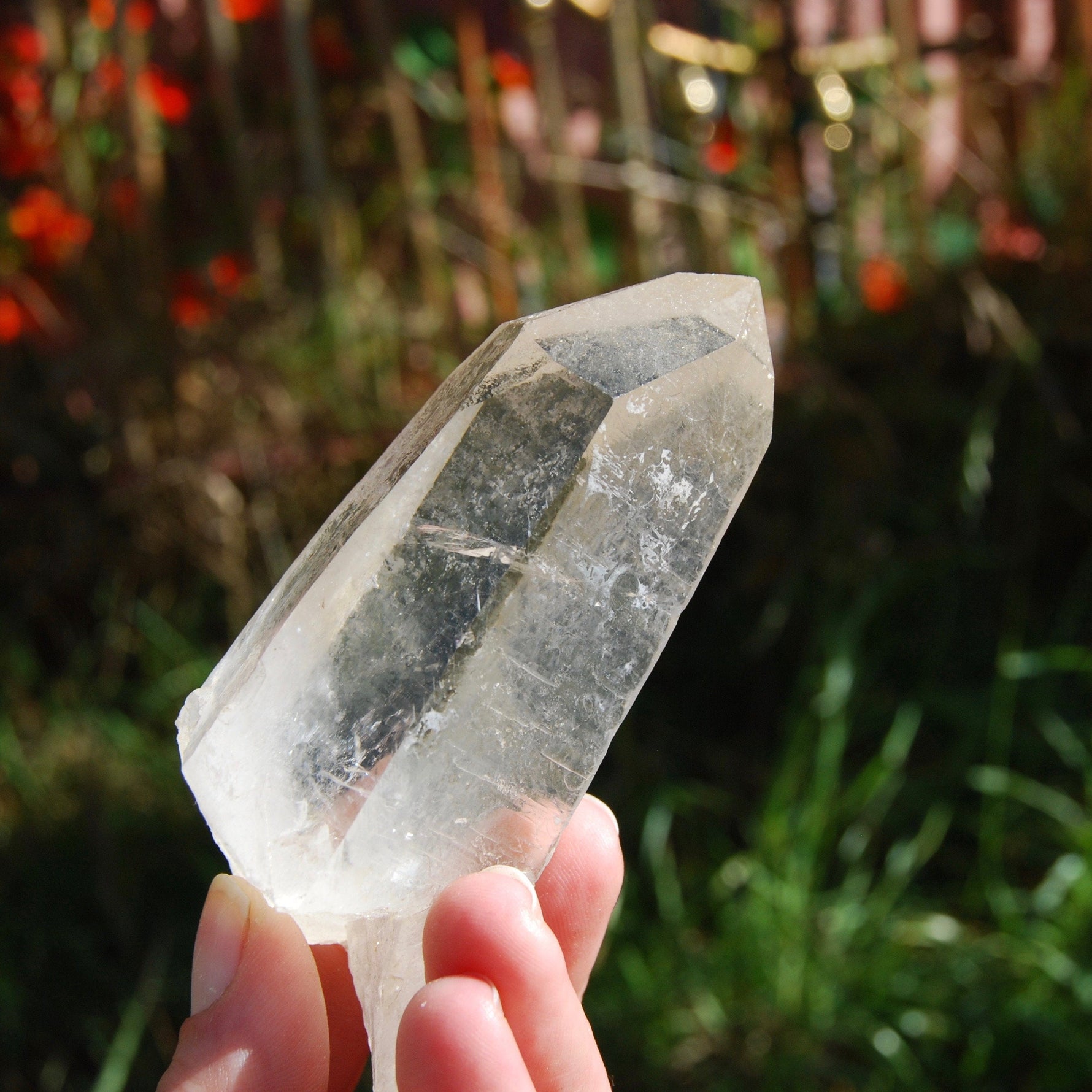 173g 3.75" Lemurian Golden Healer Quartz Crystal Starbrary from Minas Gerais Brazil 