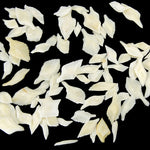 White Gar Fish Scales