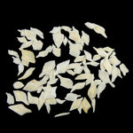 White Gar Fish Scales