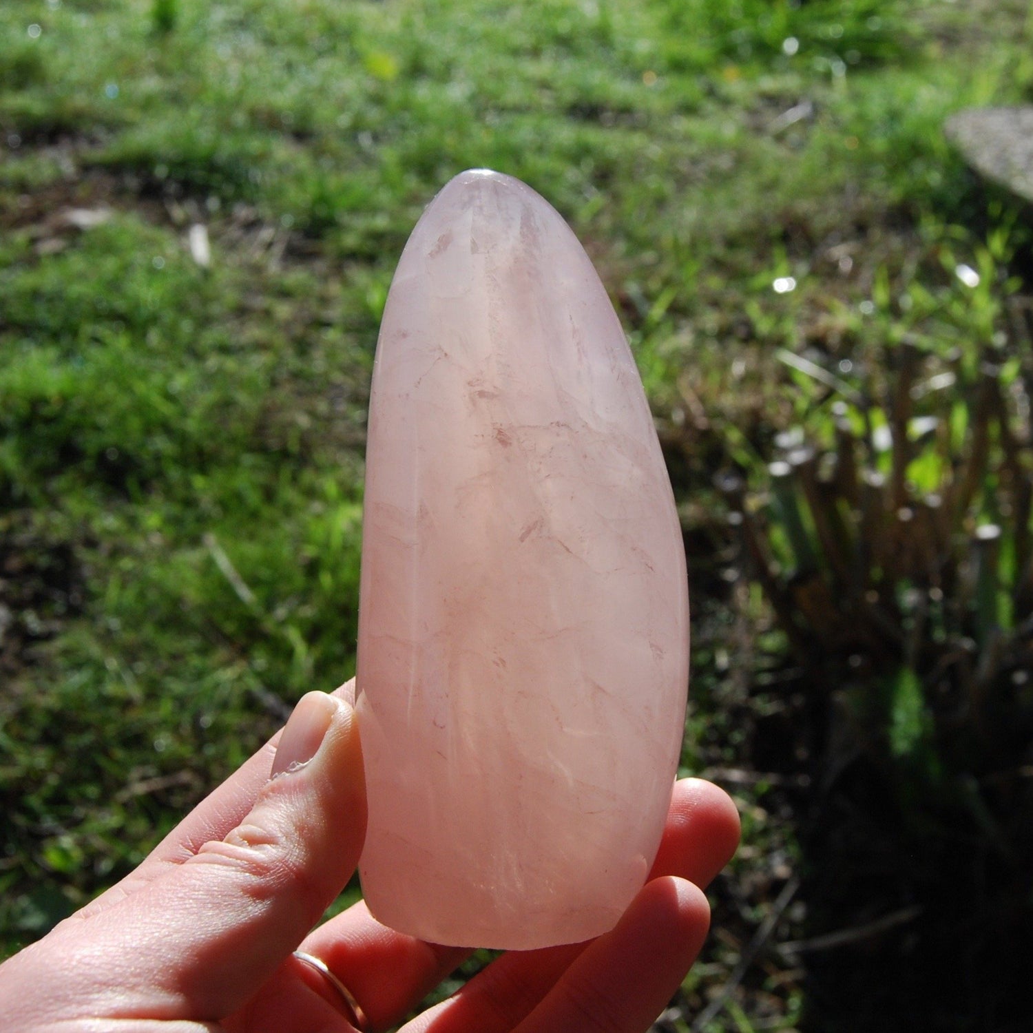 Rose Quartz Crystal Freeform