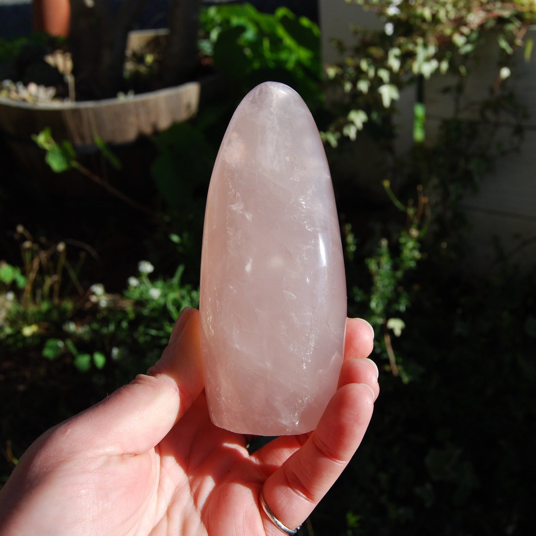 Rose Quartz Crystal Freeform