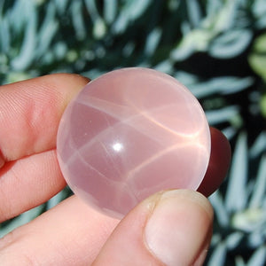 Star Rose Quartz Crystal Sphere