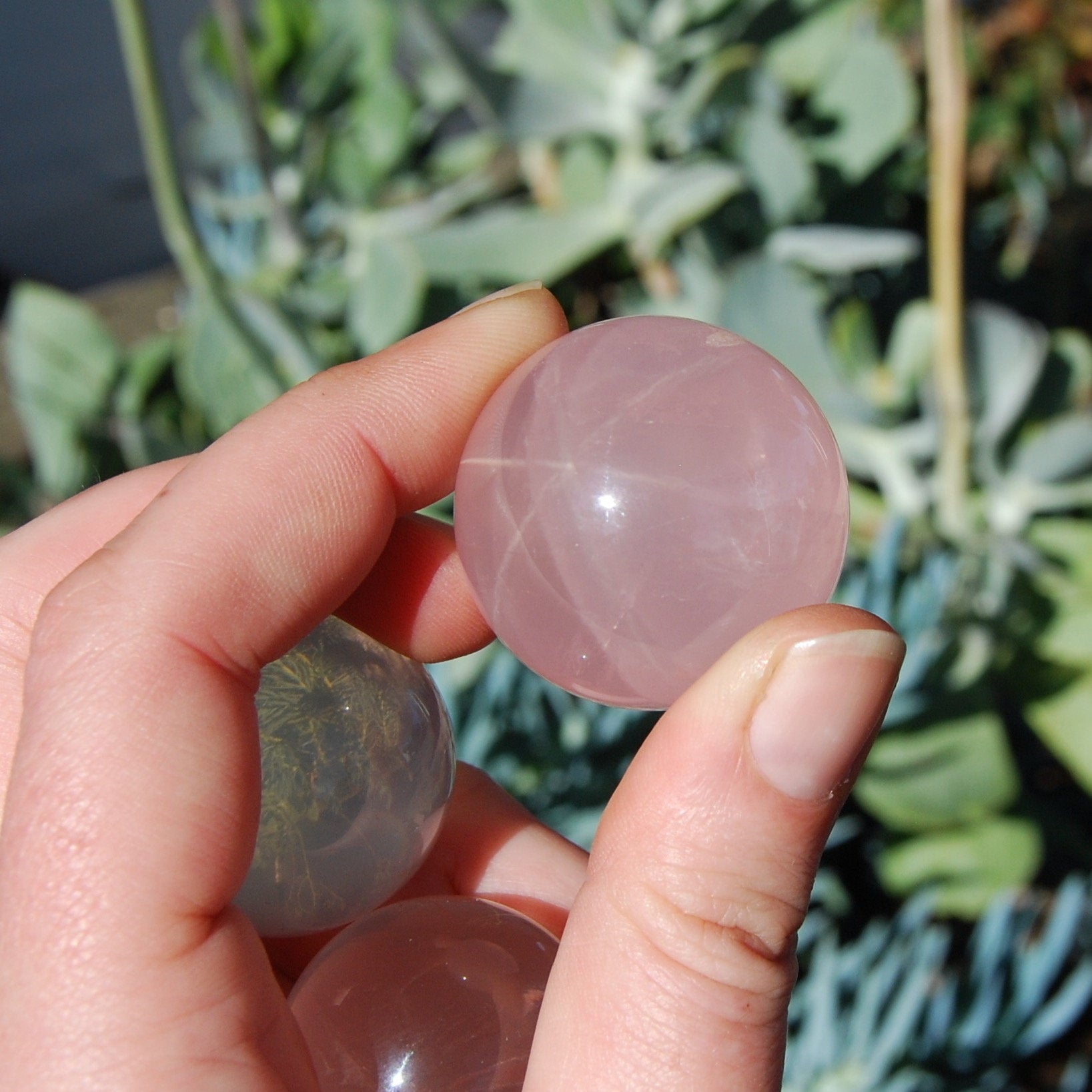 Star Rose Quartz Crystal Sphere