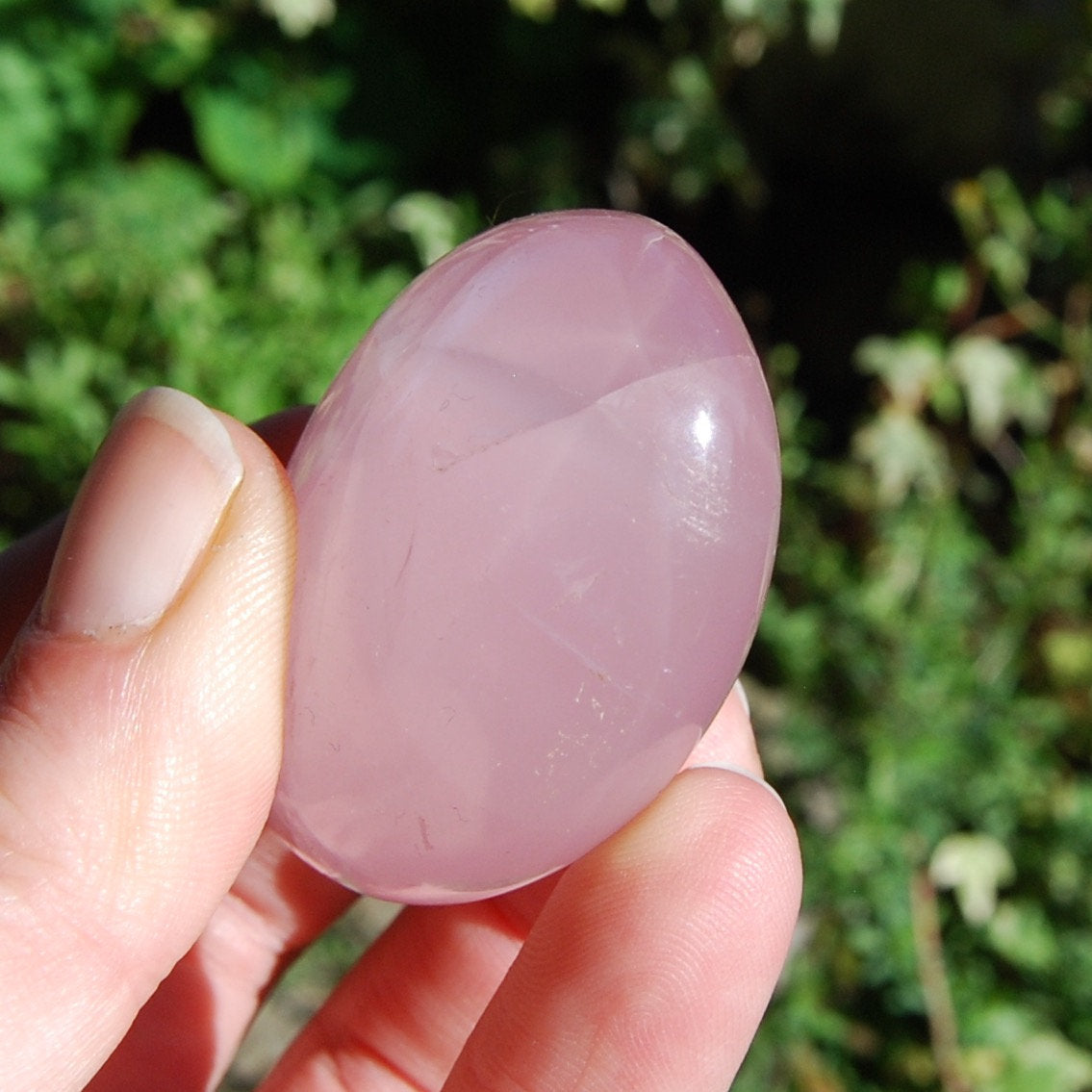 Star Rose Quartz Crystal Palm Stones Asterism