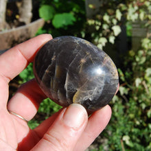 Load image into Gallery viewer, Black Moonstone Polished Crystal Palm Stone 2.25-2.5&quot; 
