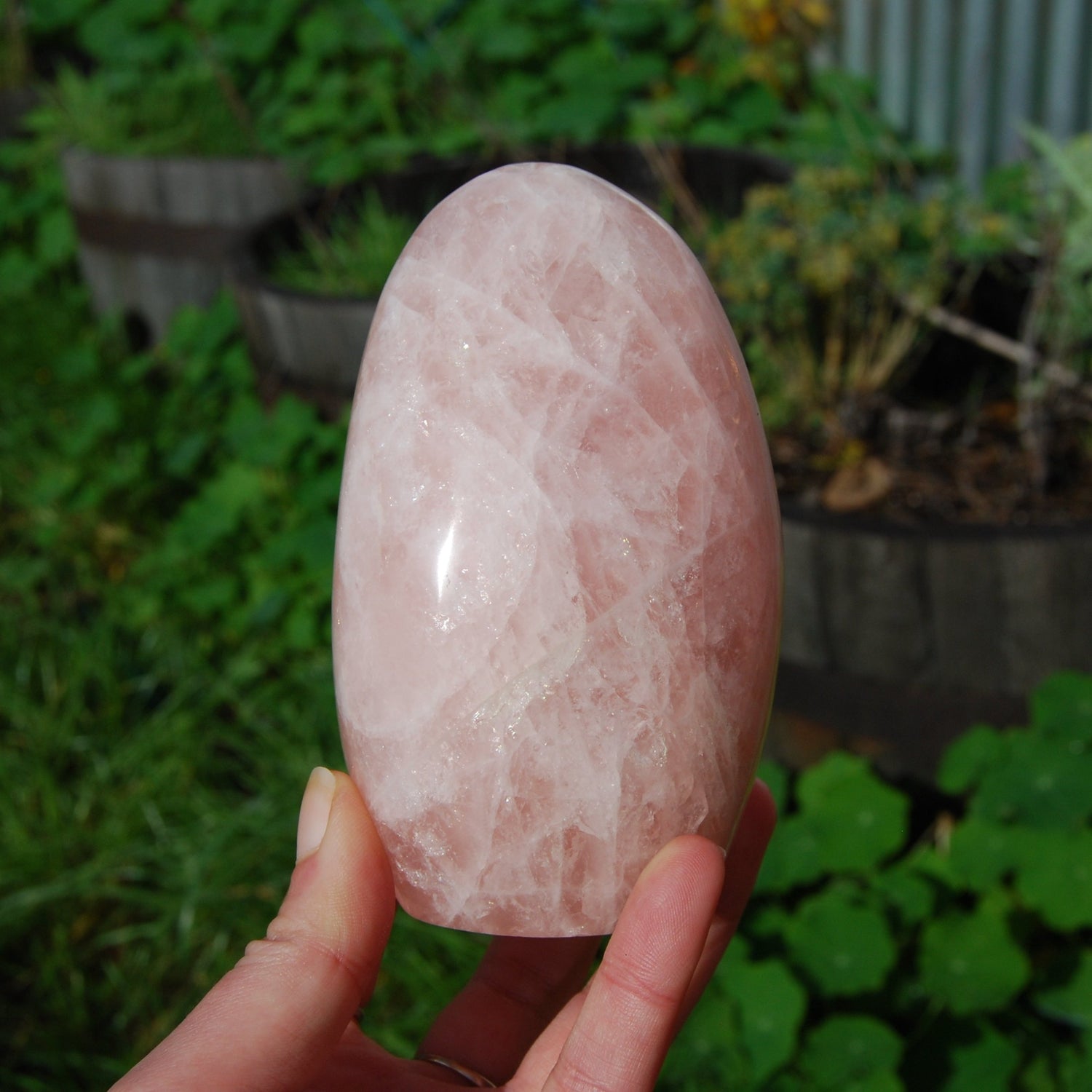 Rose Quartz Crystal Freeform