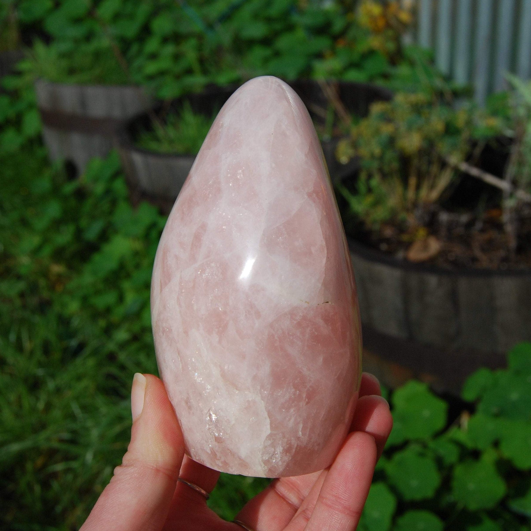 Rose Quartz Crystal Freeform