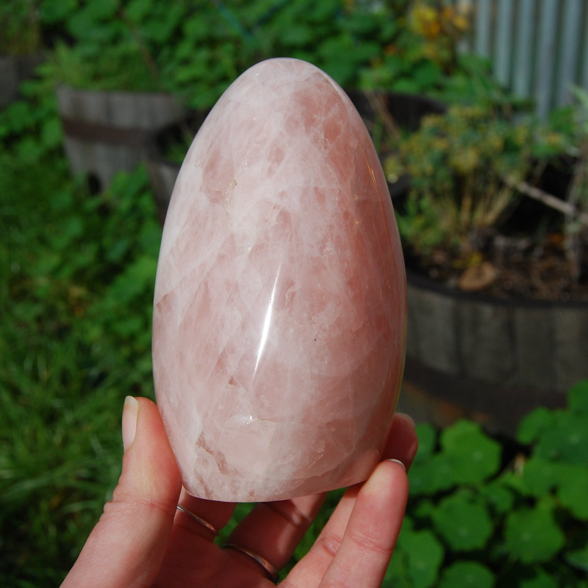 Rose Quartz Crystal Freeform