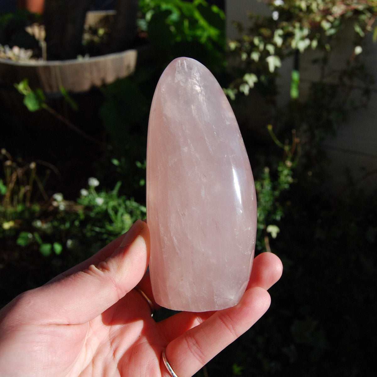 Rose Quartz Crystal Freeform