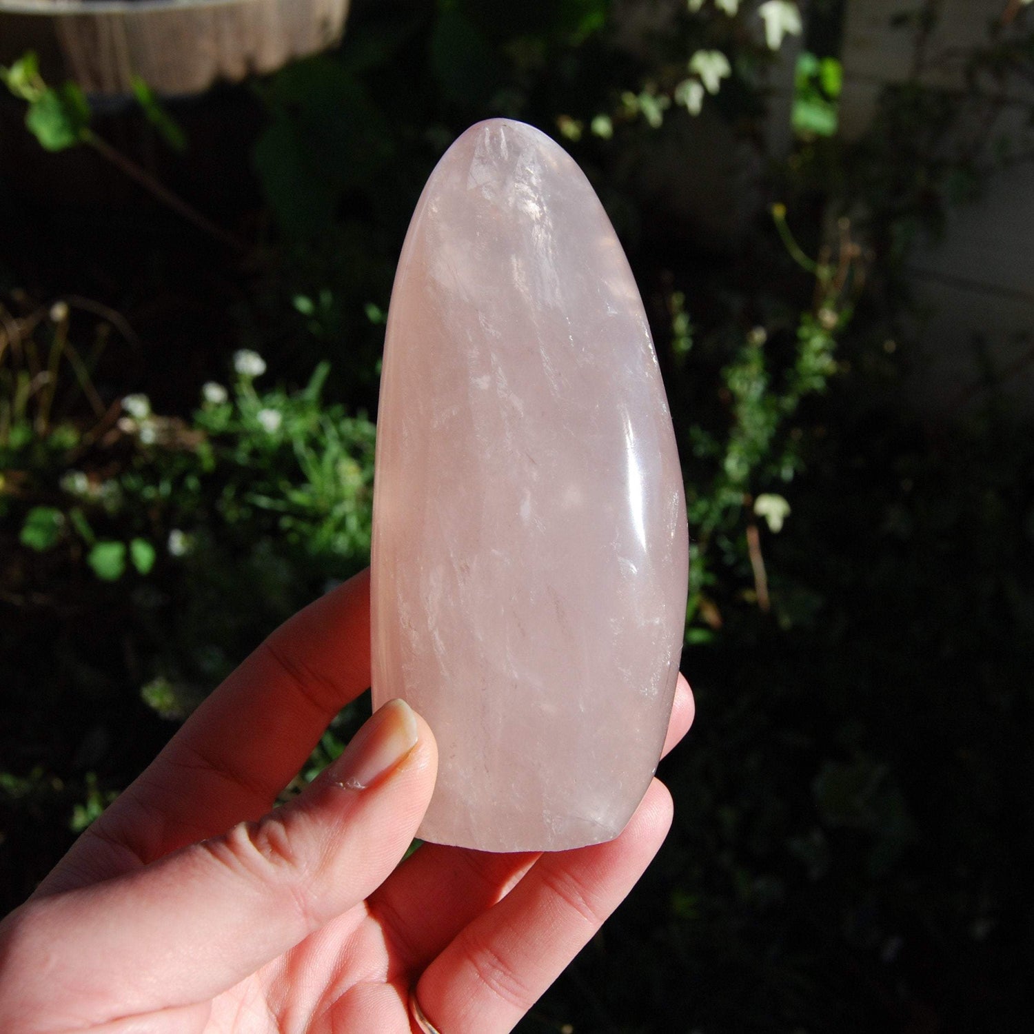 Rose Quartz Crystal Freeform