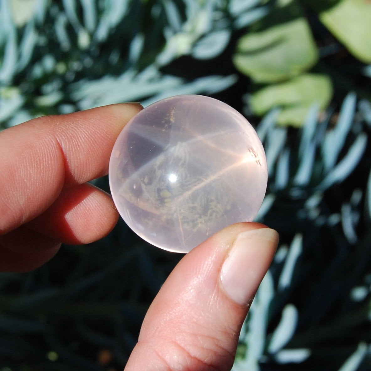 Star Rose Quartz Crystal Sphere