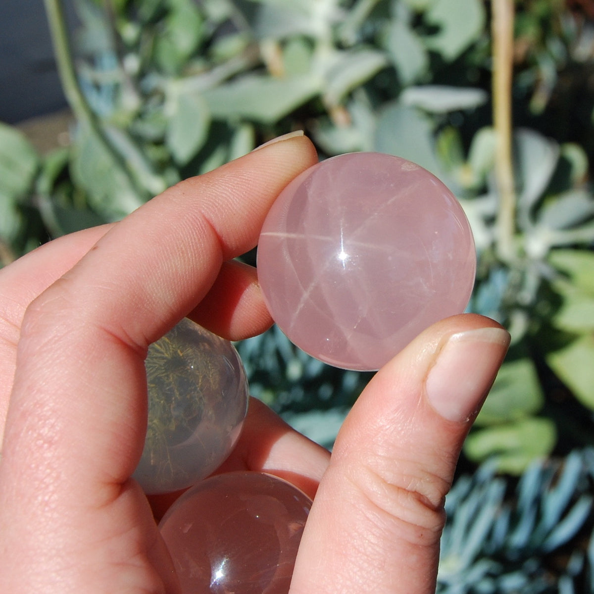 Star Rose Quartz Crystal Sphere