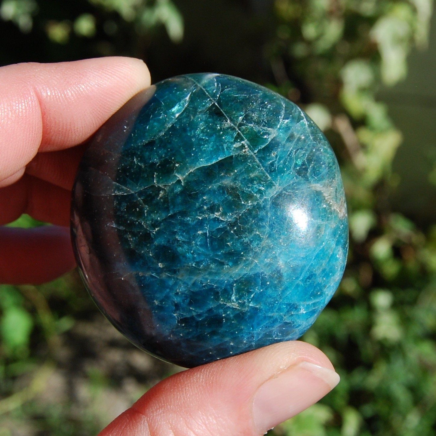 Blue Apatite Crystal Palm Stones