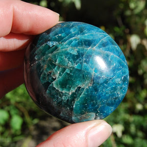 Blue Apatite Crystal Palm Stones