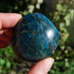 Blue Apatite Crystal Palm Stones