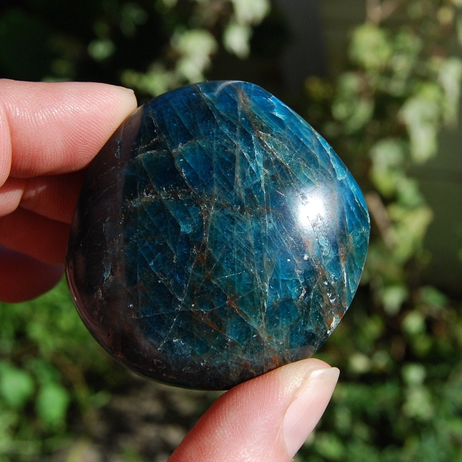 Blue Apatite Crystal Palm Stones