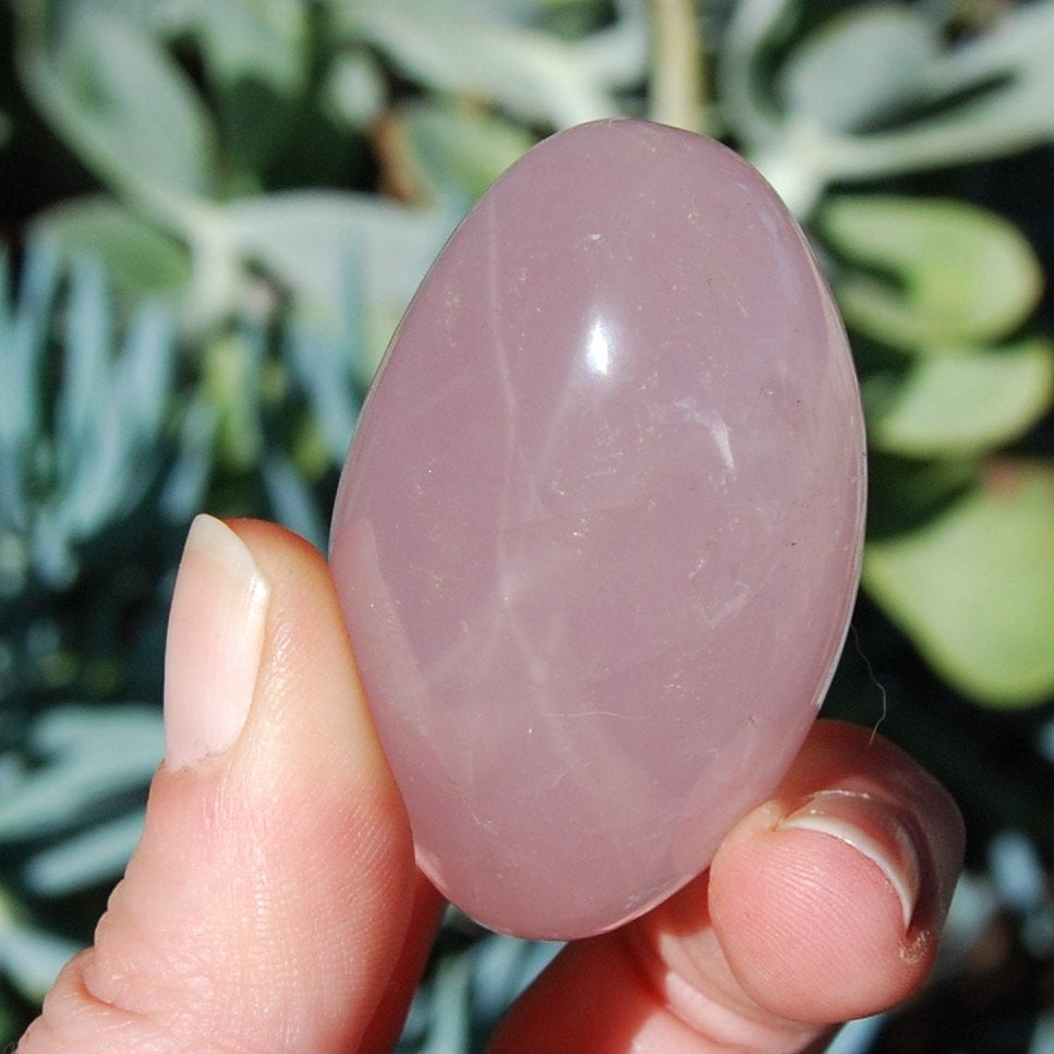 Star Rose Quartz Crystal Palm Stones 2 to 2.5" 