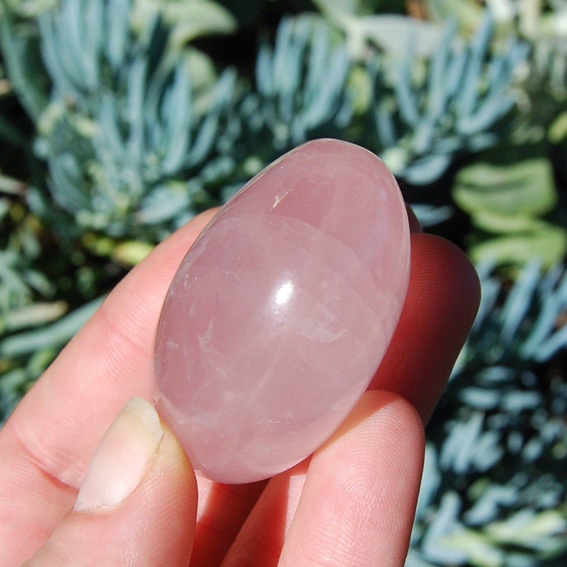Star Rose Quartz Crystal Palm Stones 2 to 2.5" Star Rose Quartz Crystal Palm Stones Asterism