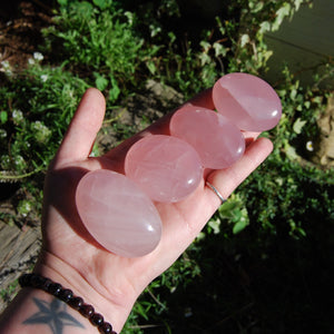 Star Rose Quartz Crystal Palm Stones 2 to 2.5" 