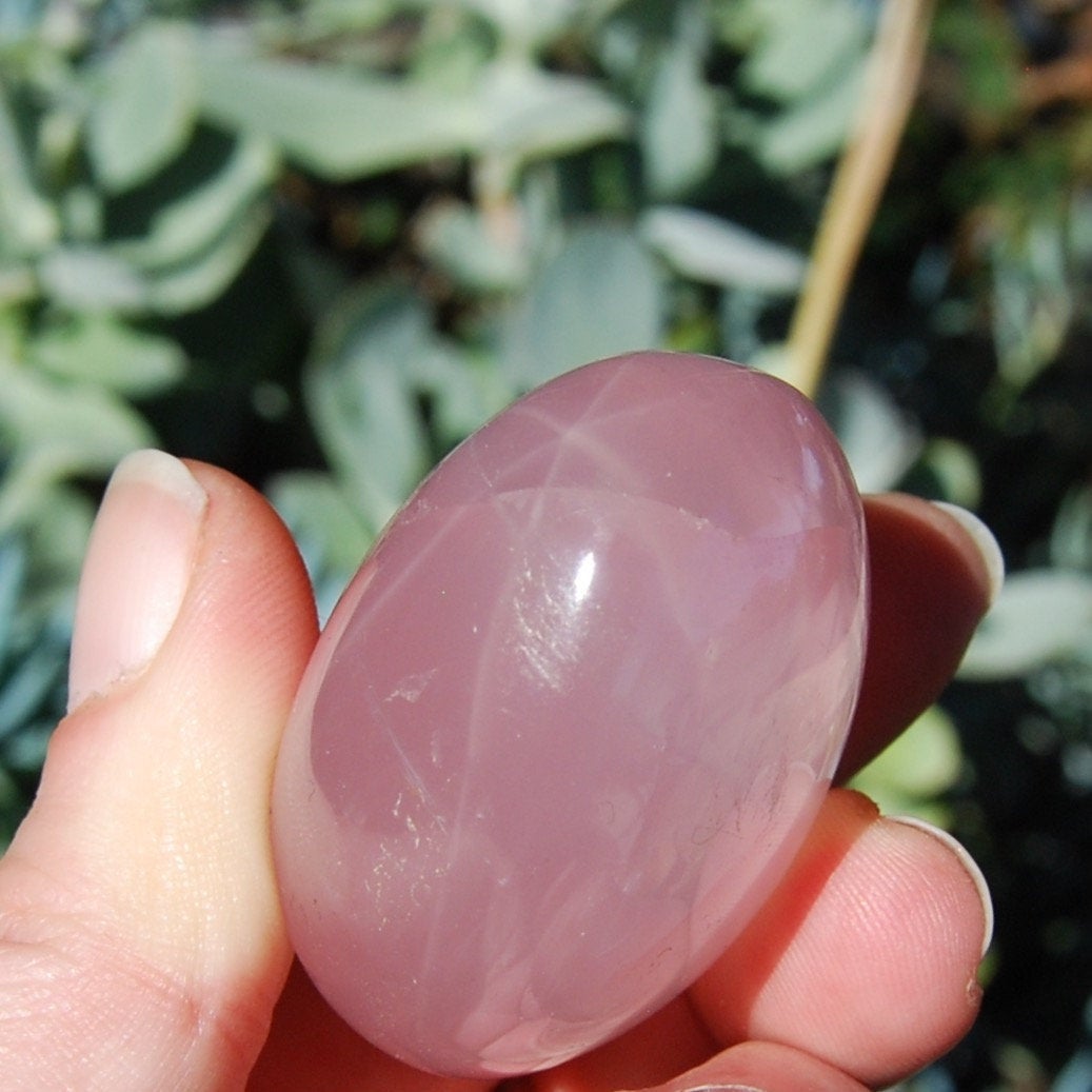 Star Rose Quartz Crystal Palm Stones 2 to 2.5" 