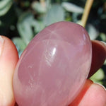 Star Rose Quartz Crystal Palm Stones Asterism