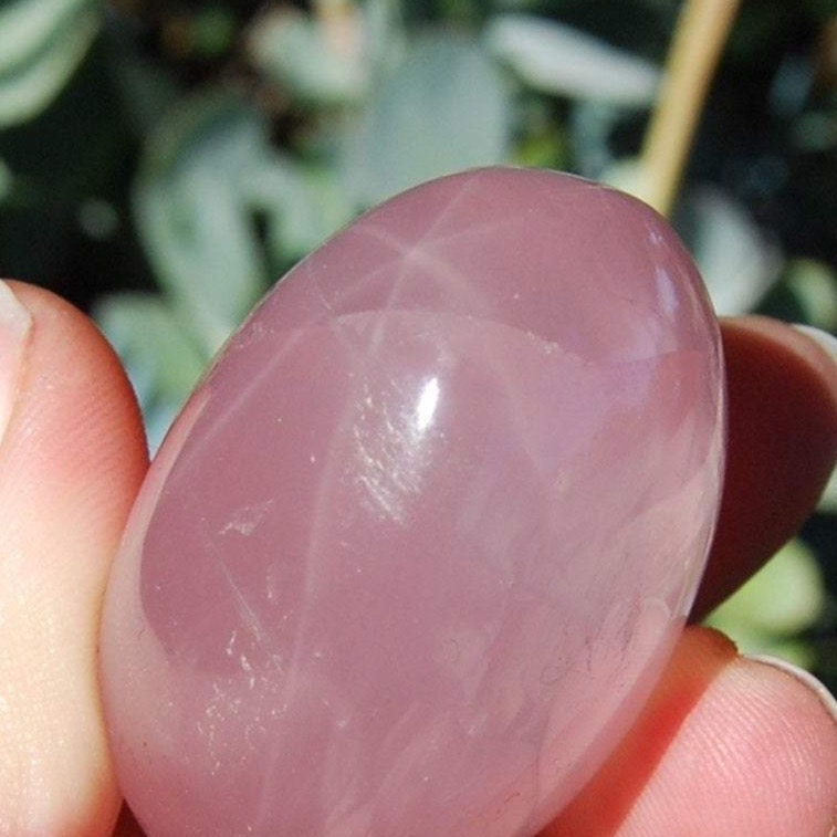 Star Rose Quartz Crystal Palm Stones Asterism