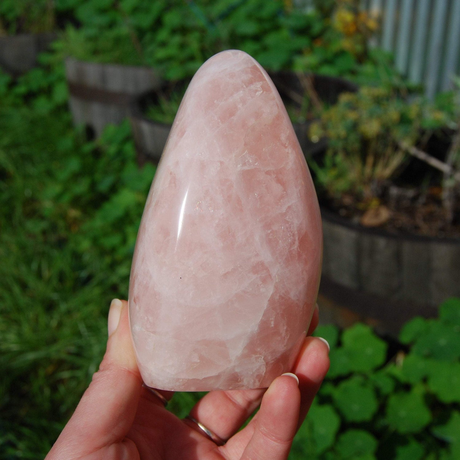 Rose Quartz Crystal Freeform