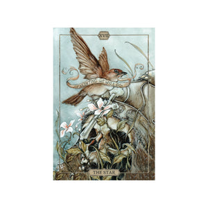 Hush Tarot Card Deck and Book by Jeremy Hush